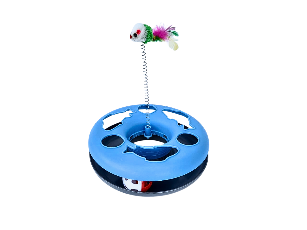 plato didactico gatos