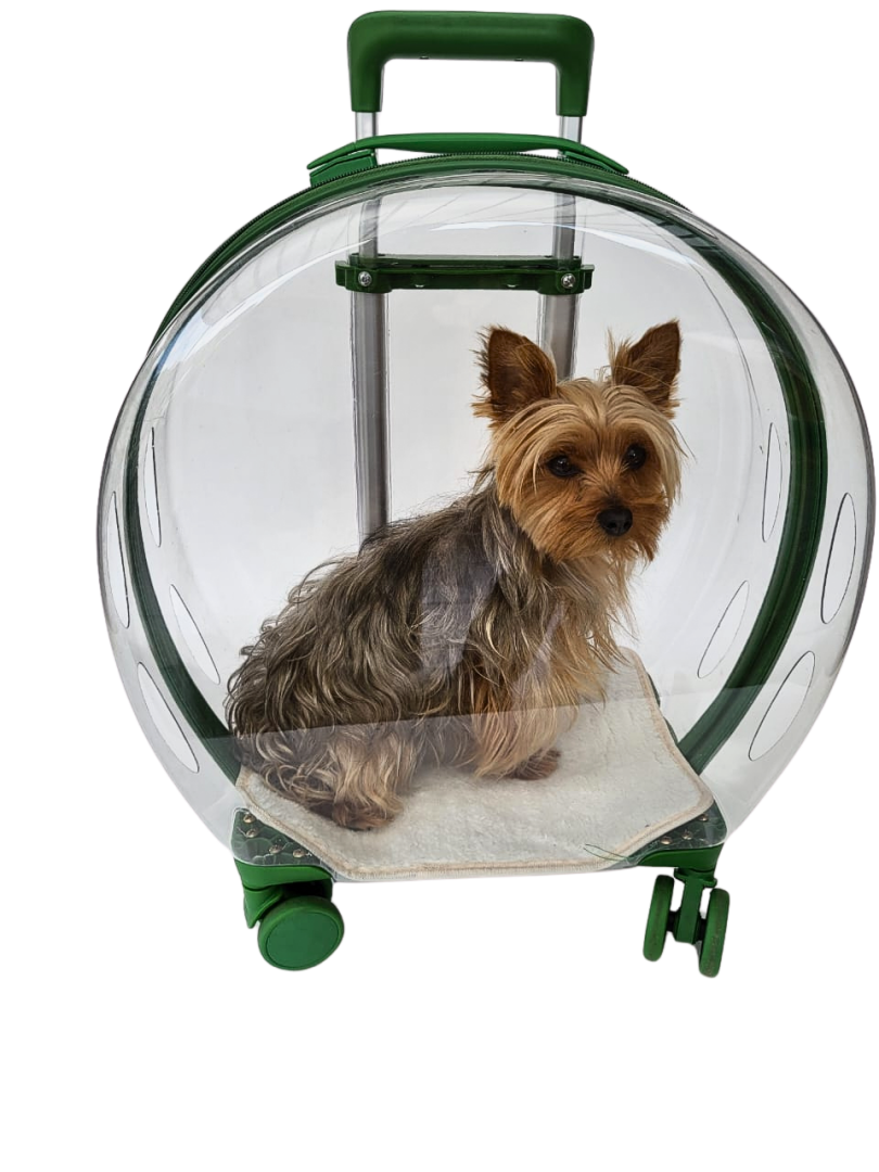 Maleta transparente de viaje para mascotas