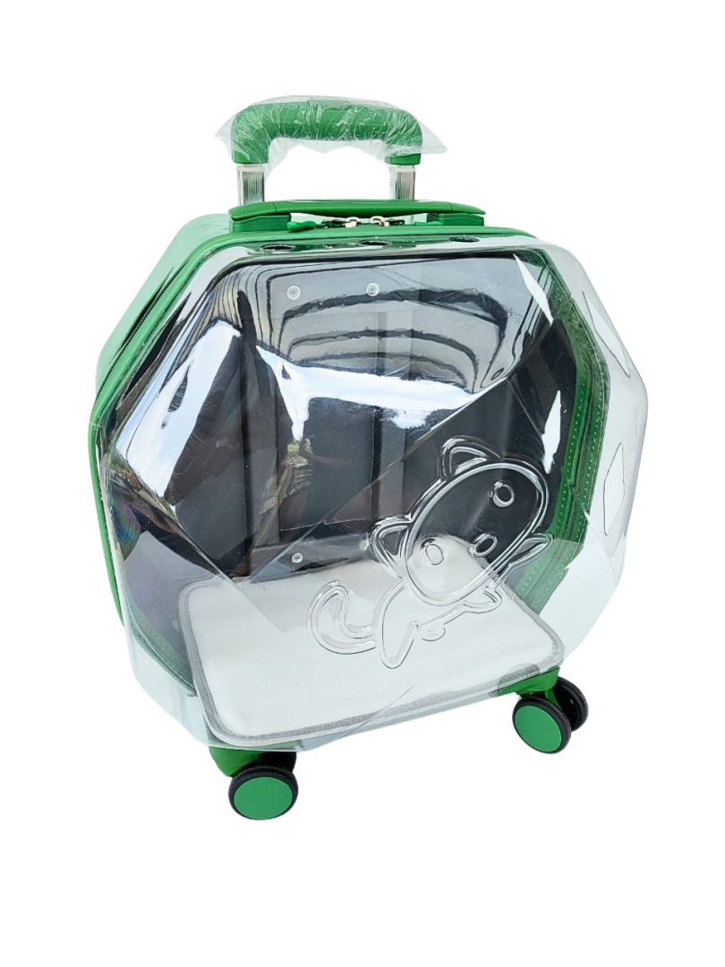 maleta traslucida exagono de viaje