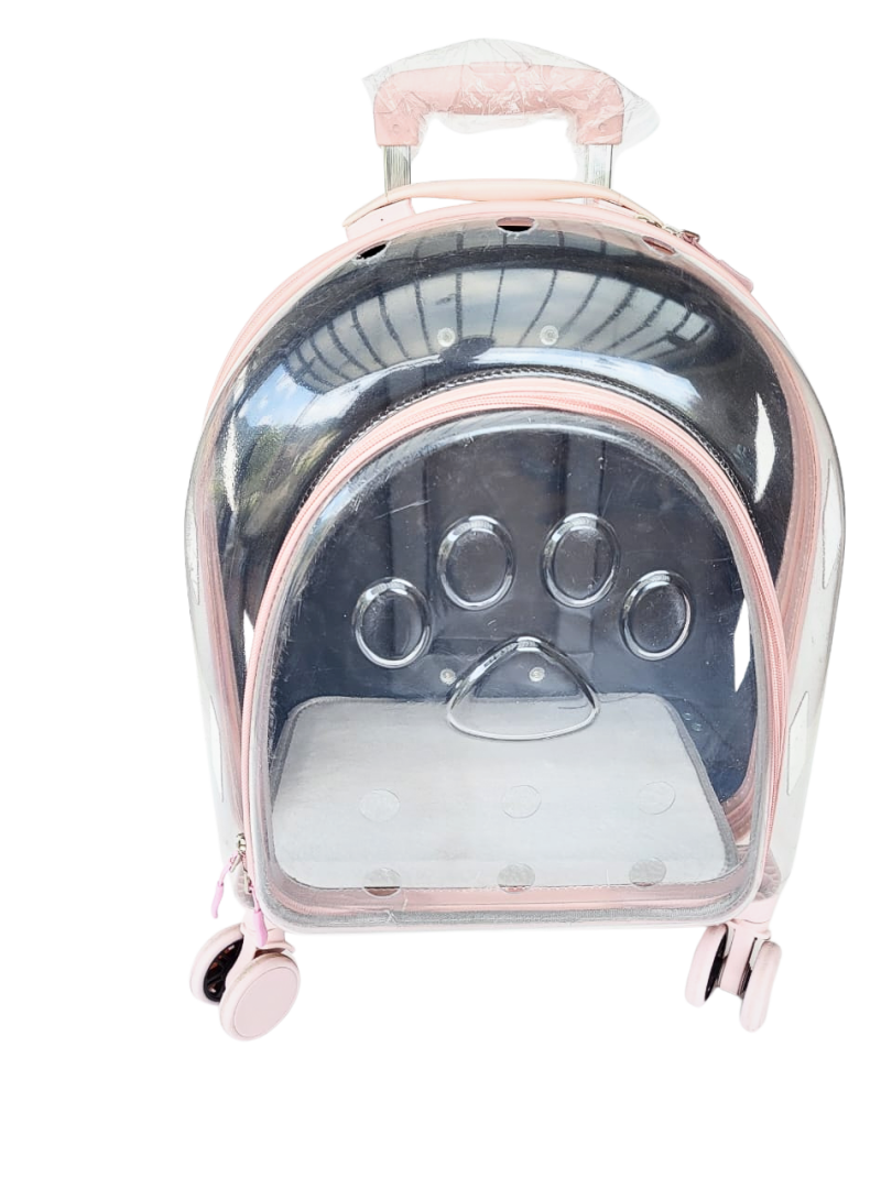 maleta de viaje gato